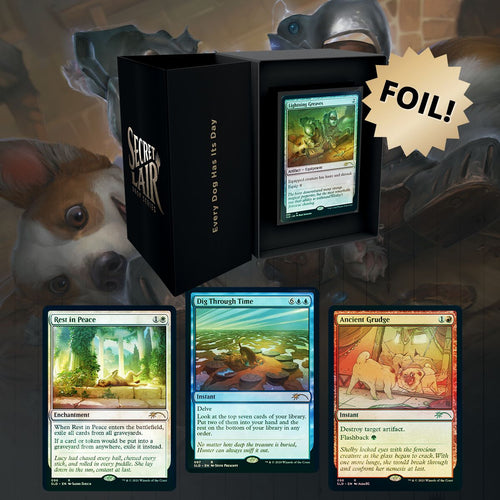 Magic the Gathering: Secret Lair Every Dog Has Its Day (Foil)